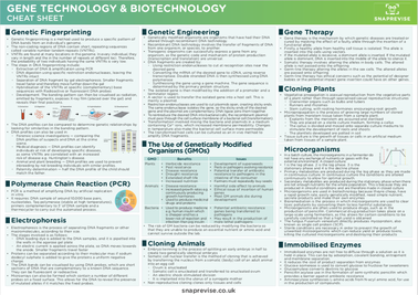 A-level Biology OCR Notes: Cloning And Biotechnology - A-LEVEL NOTES