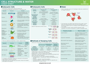 A-level Biology OCR Notes: Cell Structure - A-LEVEL NOTES